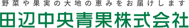 小玉西瓜　(苗定植してました。) | 和歌山県田辺市の青果のことなら田辺中央青果株式会社